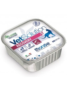 monge vet solution recovery gatos