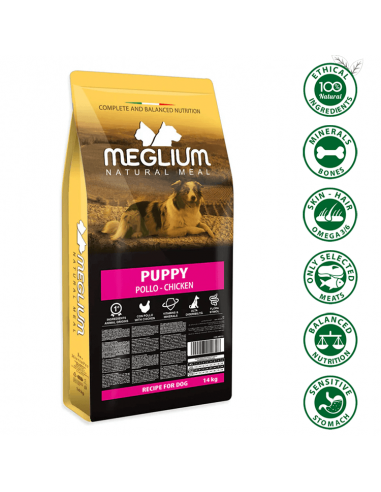 mejor pienso para perros cachorro