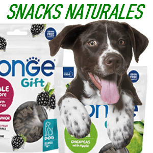 snacks naturales para perros
