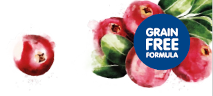 snacks saludables para perros